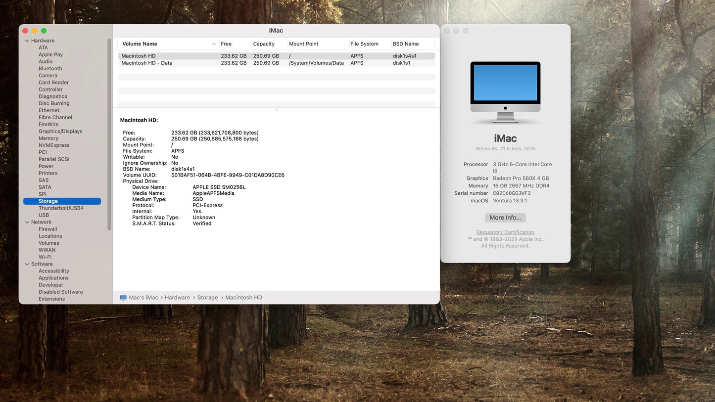 Apple 2019 21.5" iMac 3GHz 6-Core i5 16GB 256GB SSD RP560X 4GB (**Minor Crack**)