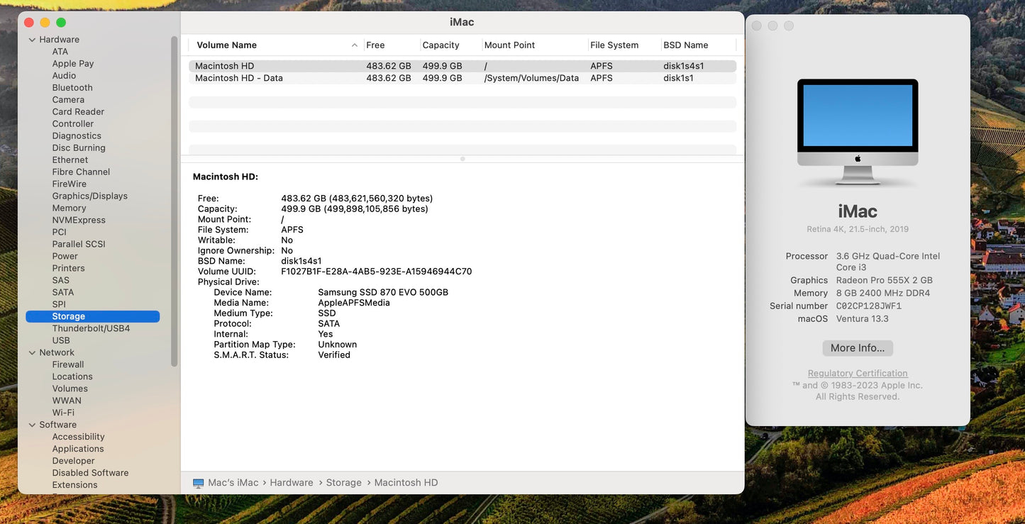 Apple 2019 21.5" iMac 3.6GHz Quad-Core i3 8GB 512GB SSD RP555X 2GB-Minor Crack